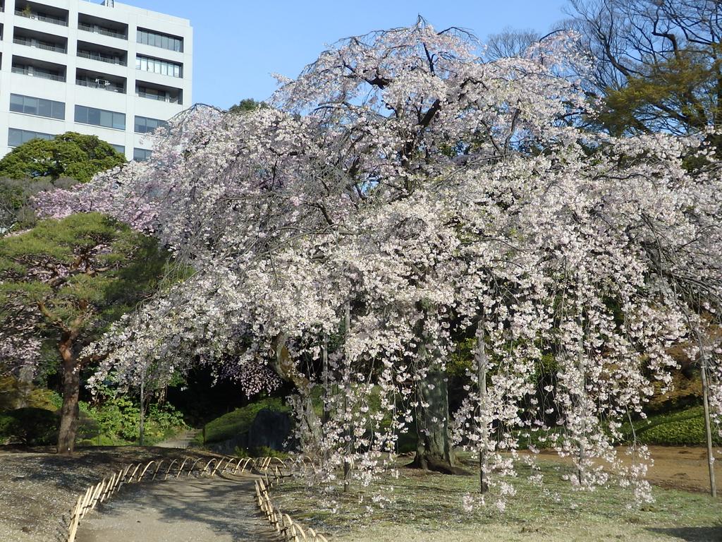 Koraku Garden Hotel