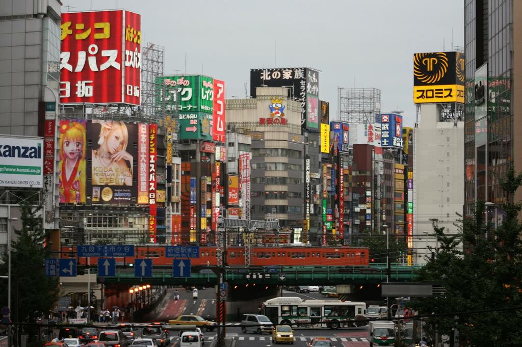 Tokyo Shinjuku house