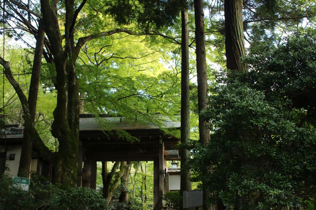 Arima Onsen Koki