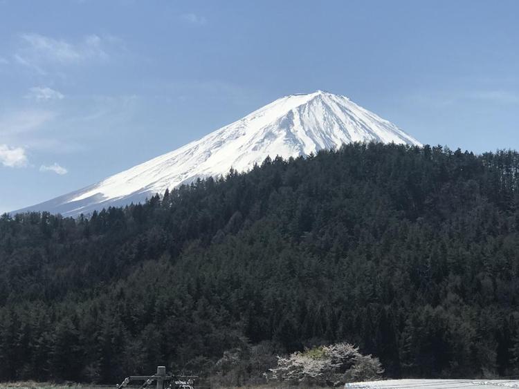 Fujibou Hotel