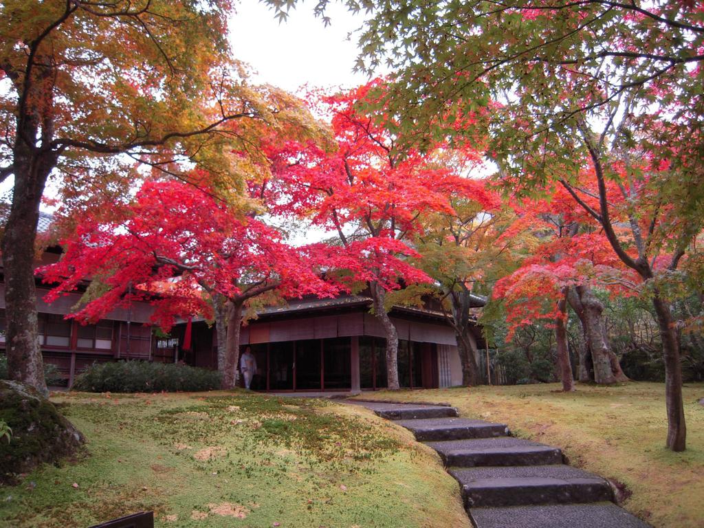 TKP Lectore Hakone Gora