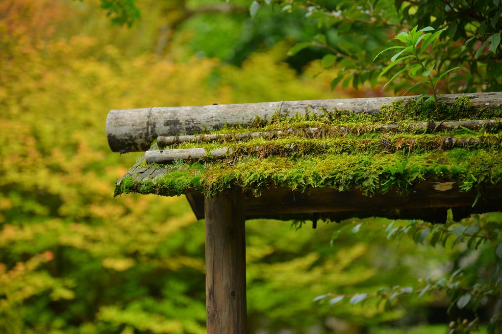 Nikko Hoshino Yado