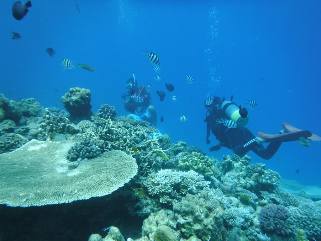 Okinawa Hostel Yanbaru Fukuro