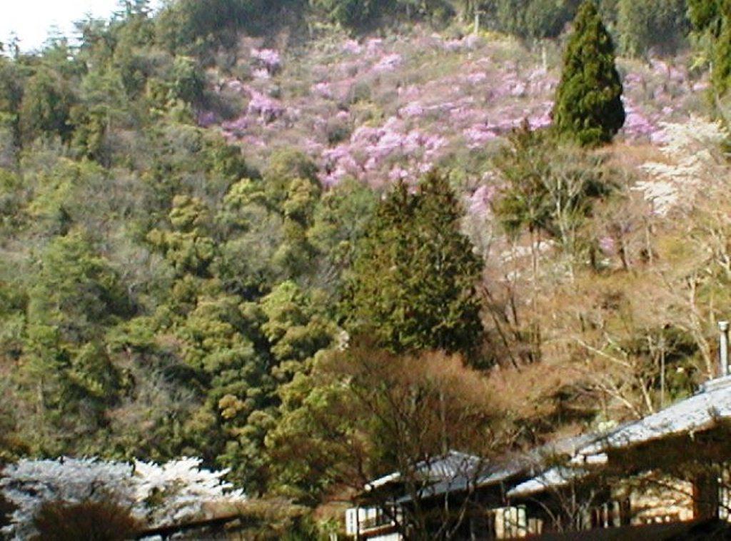 Takao Kanko Hotel