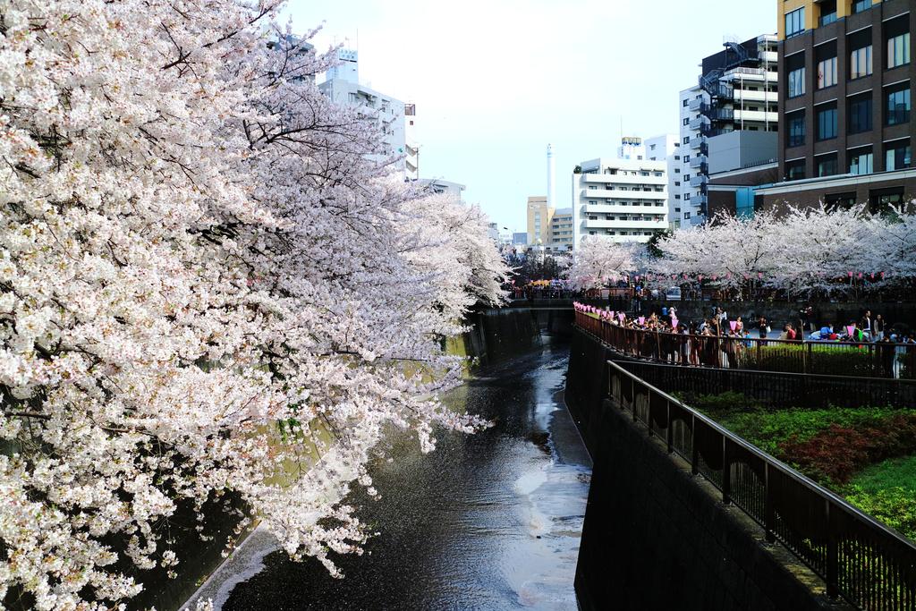 COTO Tokyo Yui Asakusa