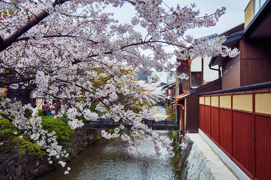 Hana-Touro Hotel Gion