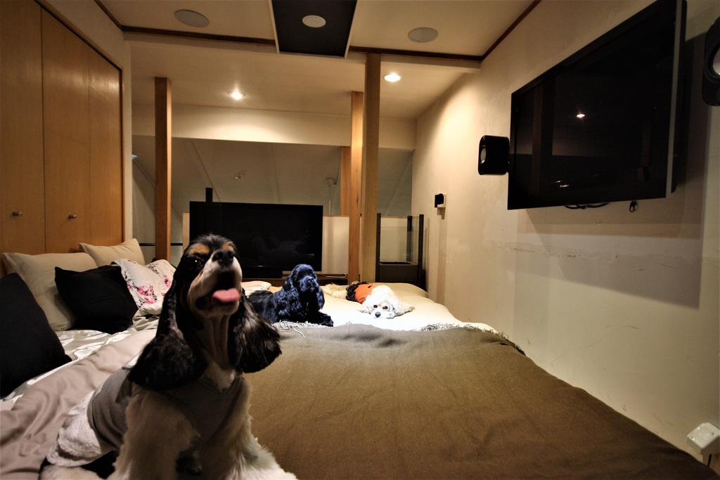 Sapporo Hiraoka Dog Hotel