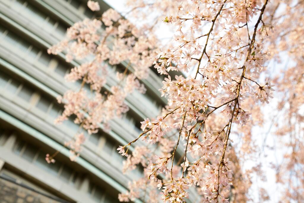 Grand Prince Hotel Kyoto