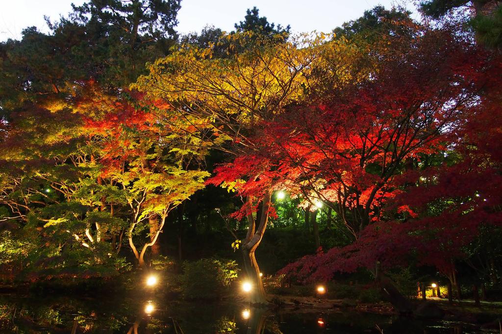 Tokyo Marriott Hotel