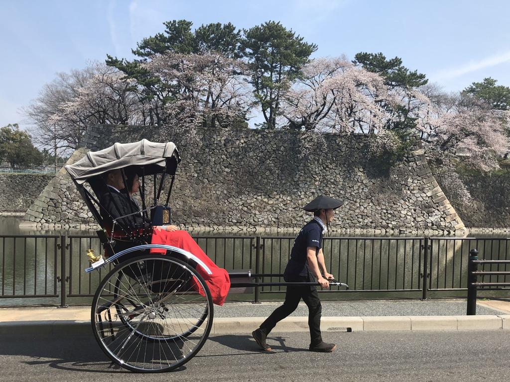 Hotel Nagoya Castle