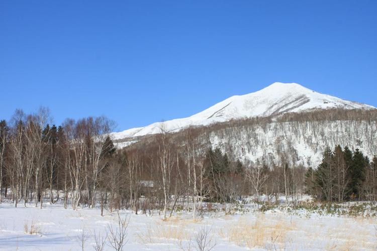 Niseko Guesthouse Nalu.