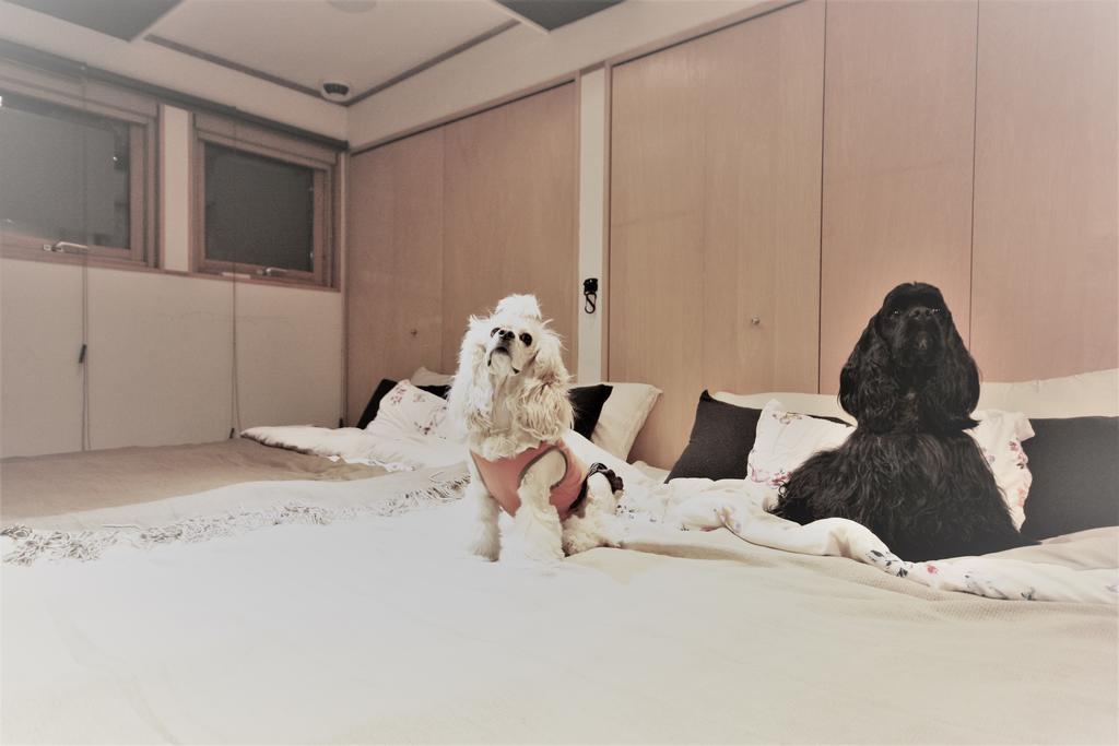 Sapporo Hiraoka Dog Hotel