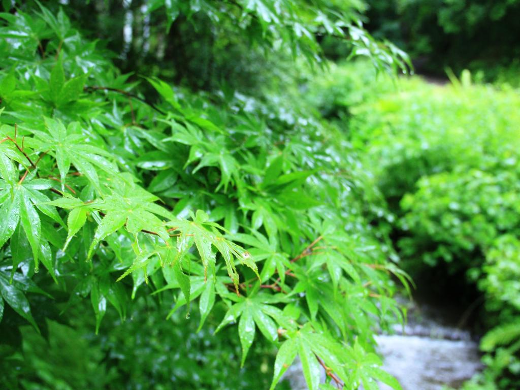 Kose Onsen