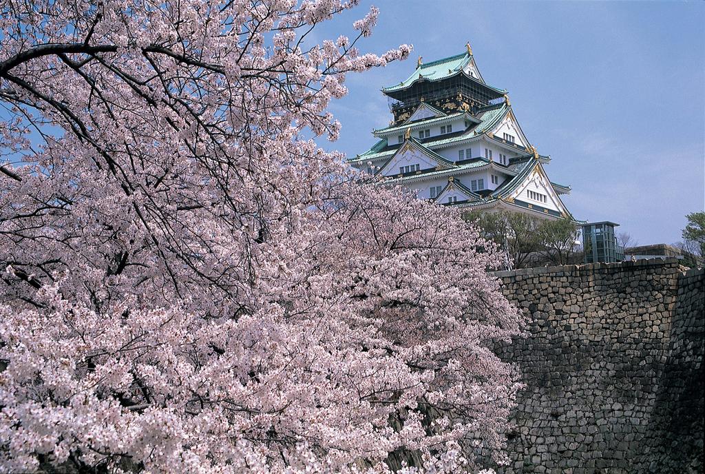 Sakura Garden Hotel