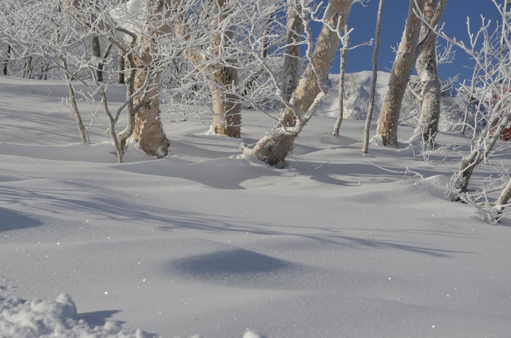 B&B Santana Hakuba