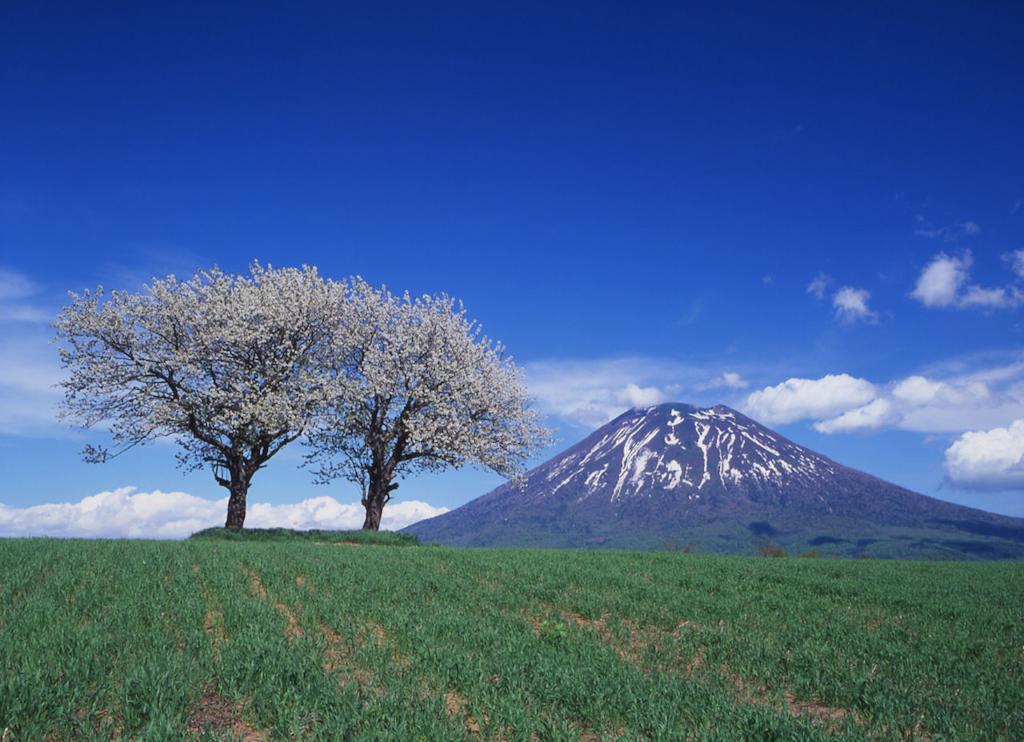 Niseko Northern Resort, An'nupuri