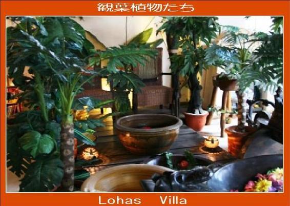 Lohas Villa