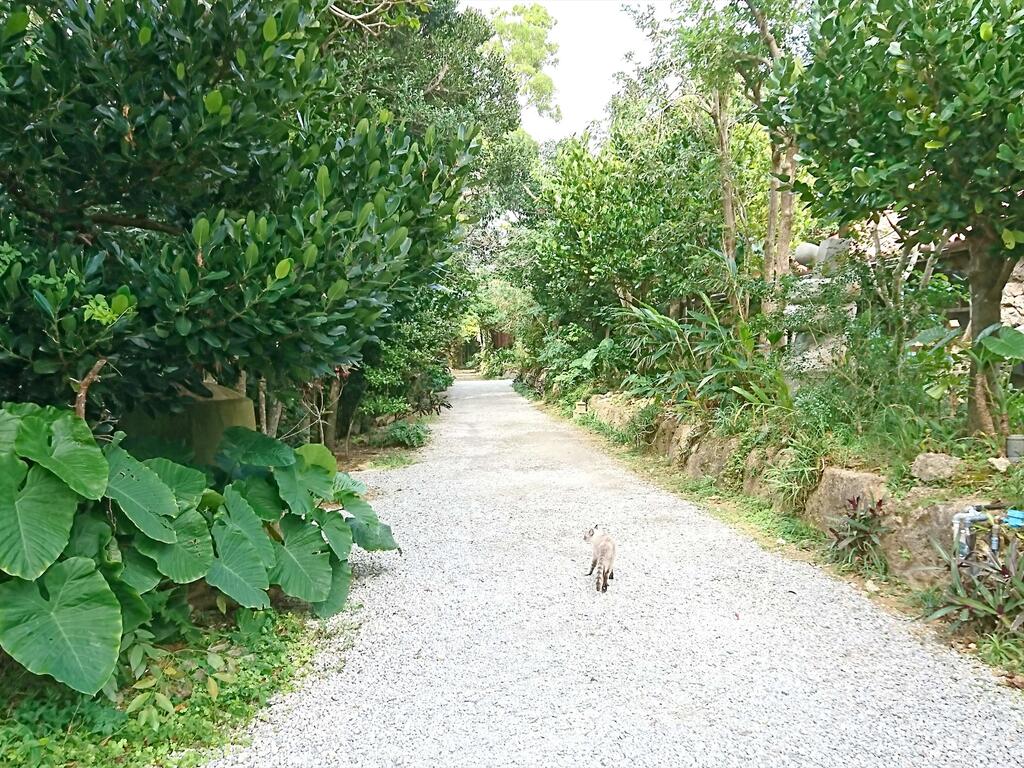 Kariyushi Condominium Resort Onna Maeda Base