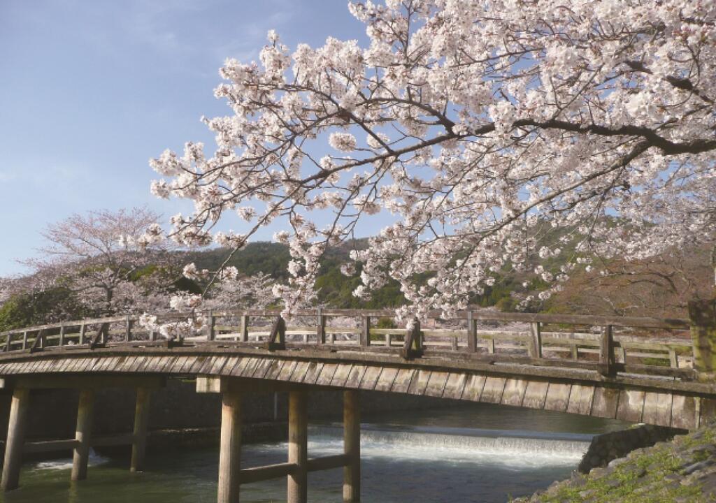 Hotel Station Kyoto West