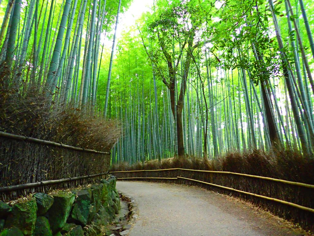 The GrandWest Arashiyama