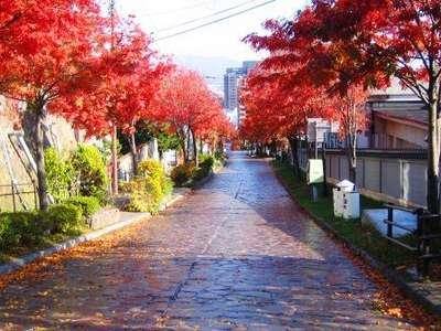 Hotel Hakodateyama