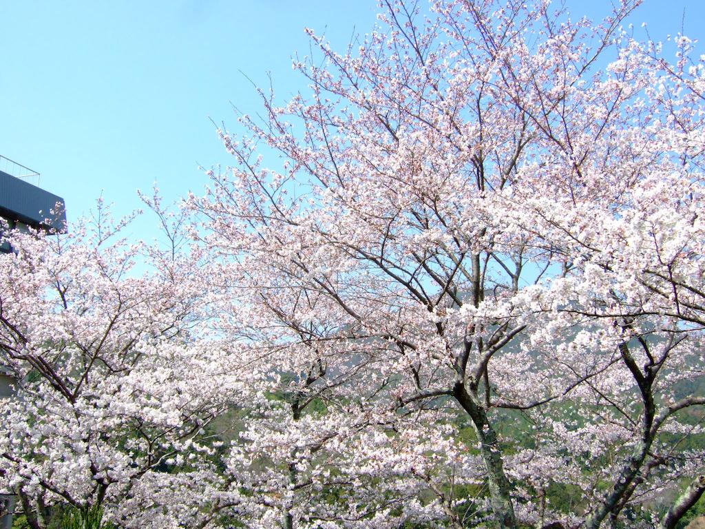 Ryokan Nenrinbo