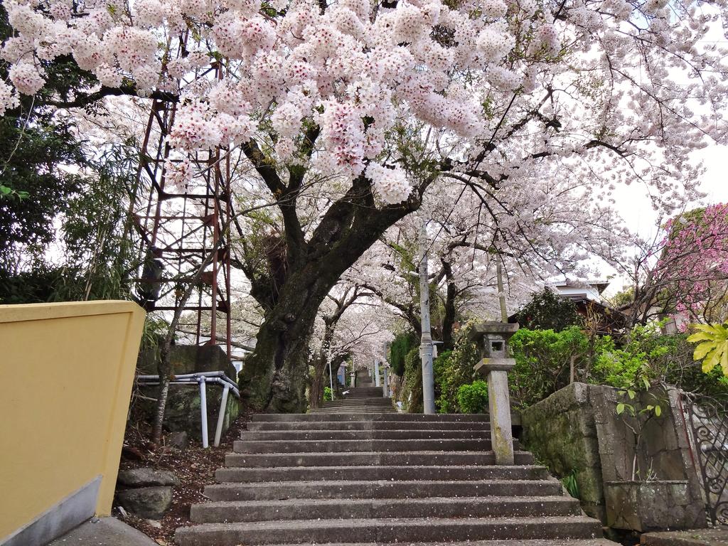 Ryokan Izuna