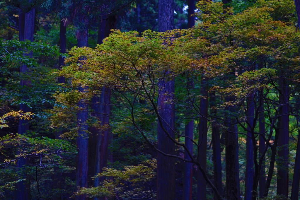 Nikko Pension L'escale