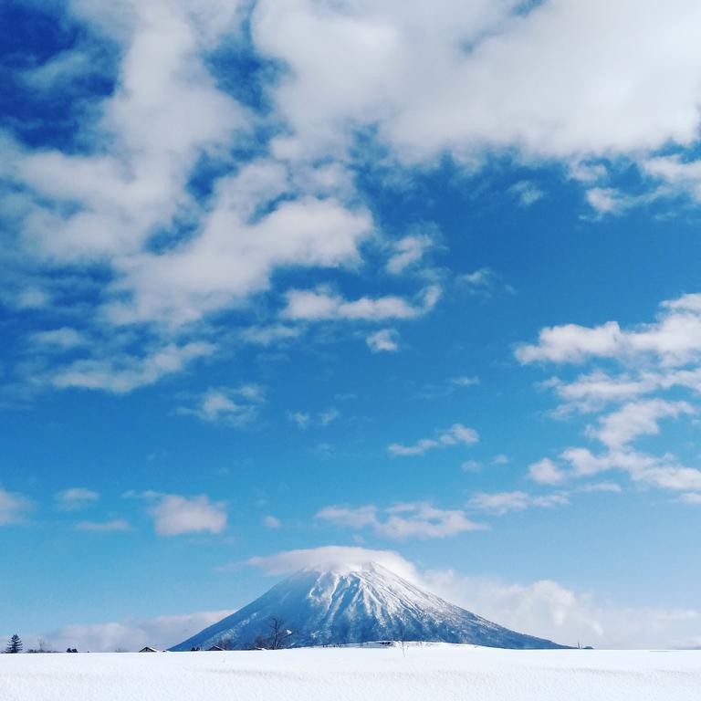 Tree Shell Niseko