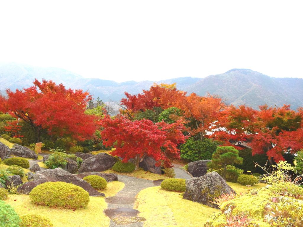 TKP Lectore Hakone Gora