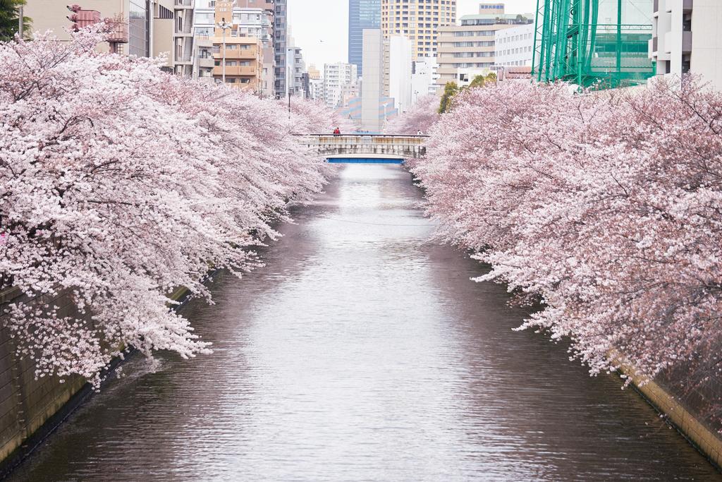 Hotel Gajoen Tokyo