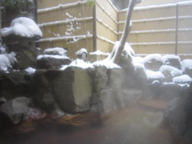 NOZARU ONSEN HOSTEL