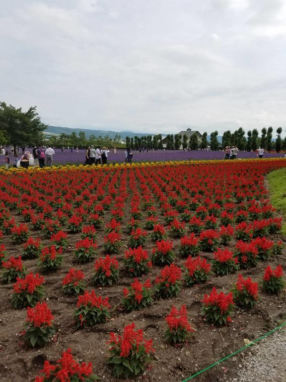 Furano Mount Villa