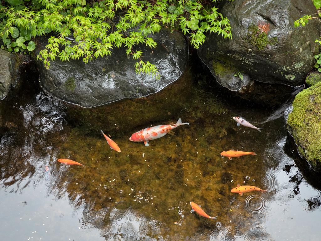 Ryokan Gizan