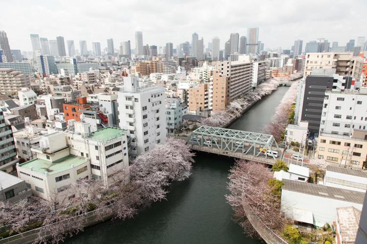 Day Nice Hotel Tokyo