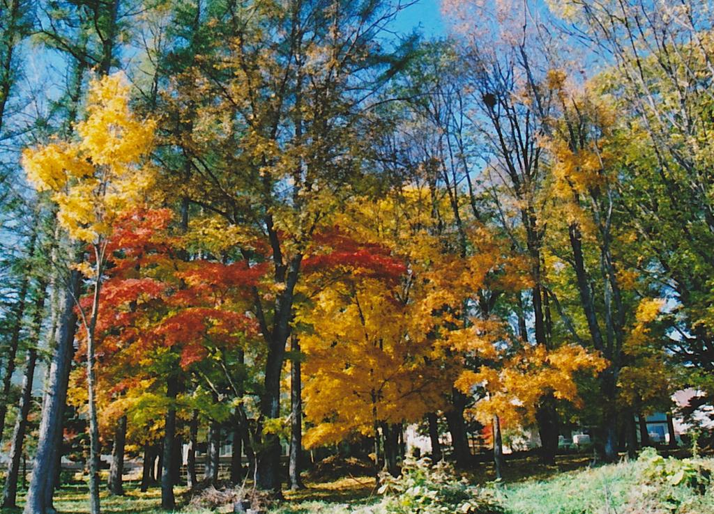 Cottage Morino Nakamatachi