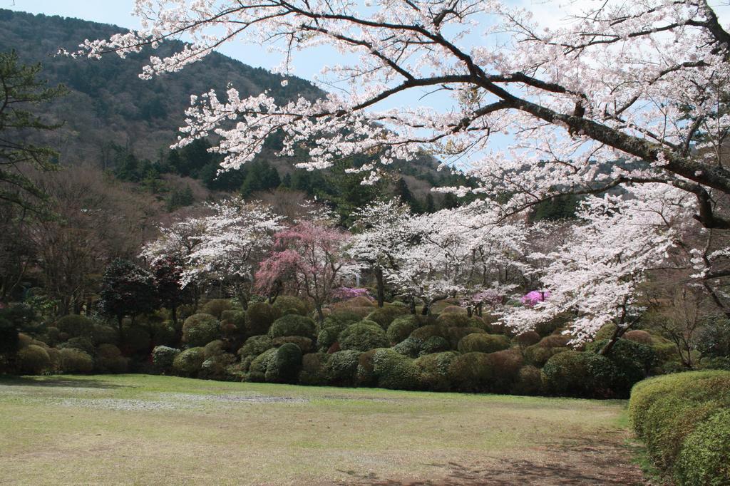 Hakone Kowakien Miyamafurin