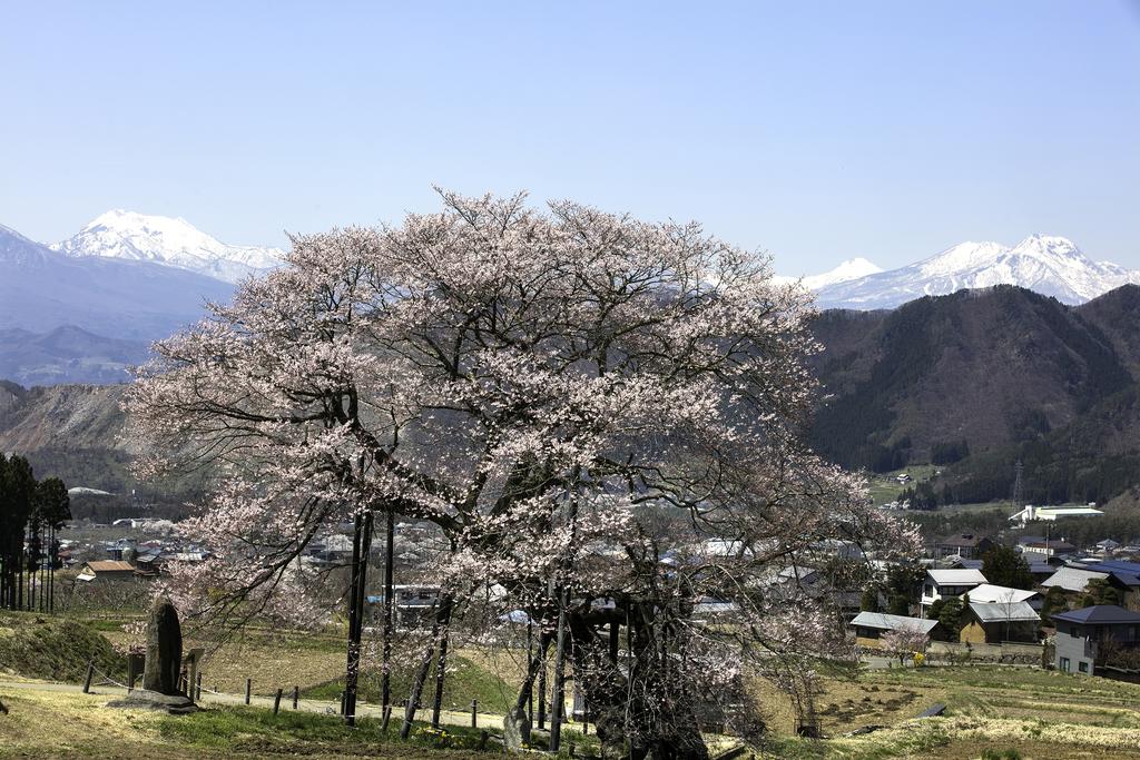 Ryokan Warabino