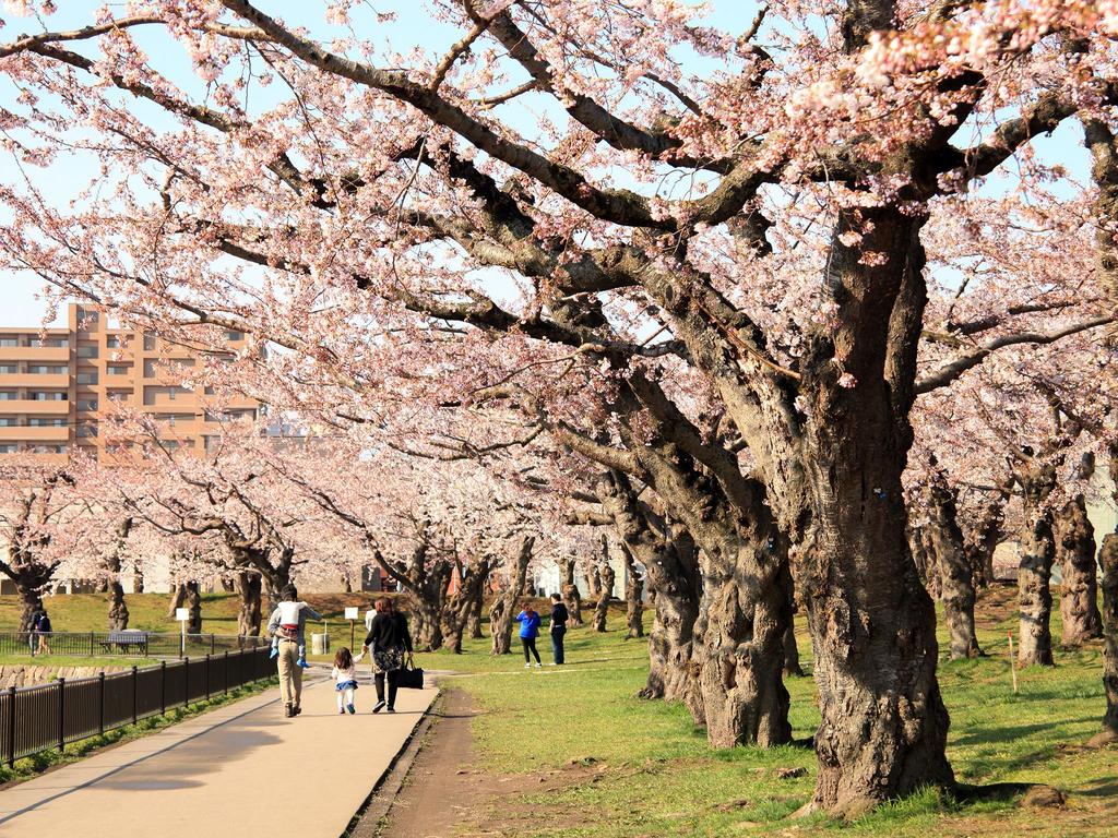 Bourou Noguchi Hakodate