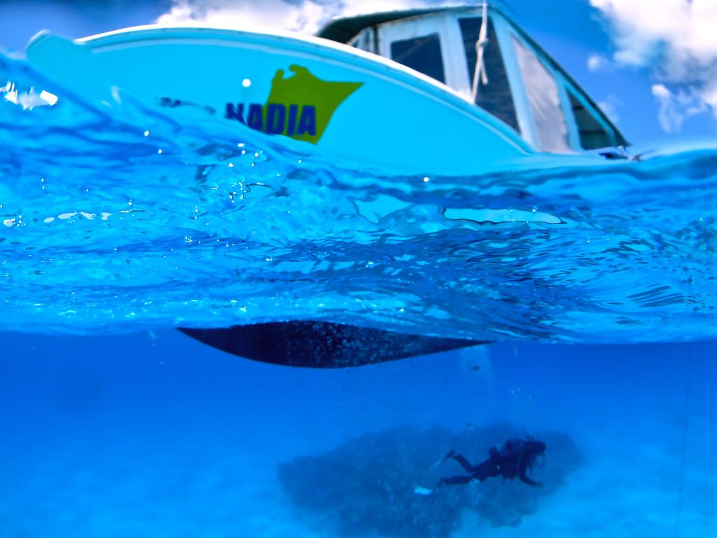 Ishigakijima Guesthouse and Diving Seacoro