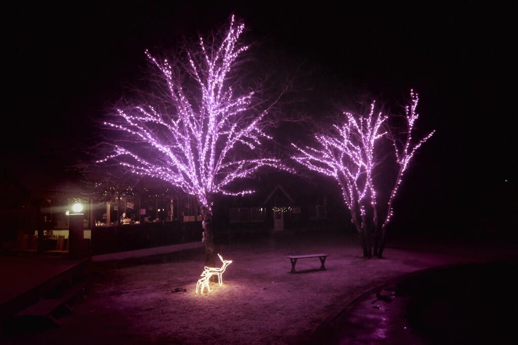 Reposer Hakuba