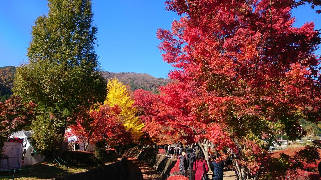 Lakeland Hotel Mizunosato