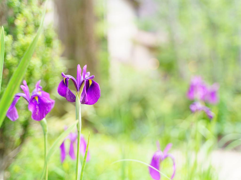 Le Grand Karuizawa Hotel and Resort