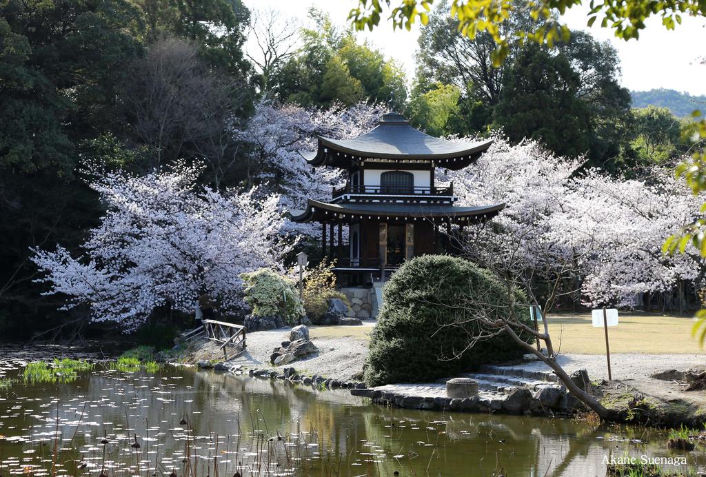 Kyoto Home Yoshida