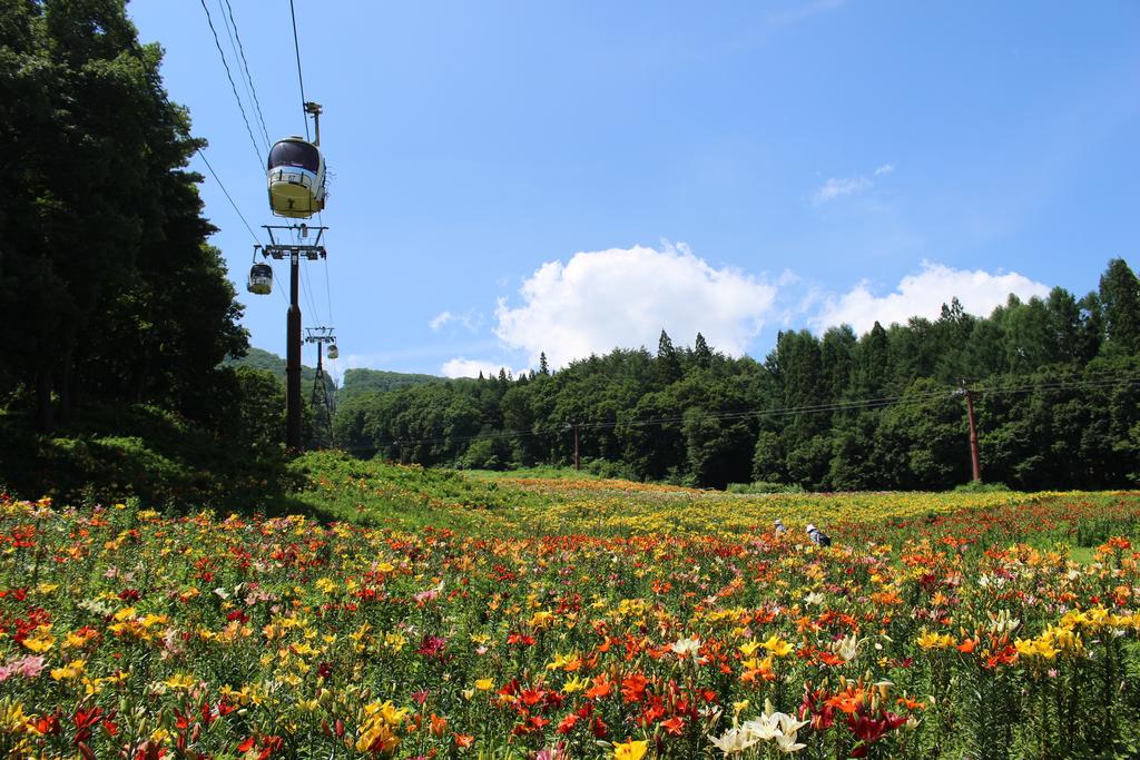 Schole Hakuba