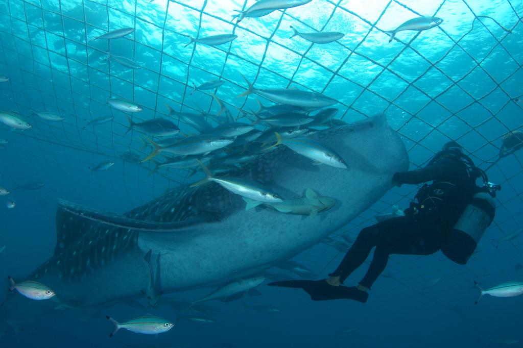 Okinawa Prison