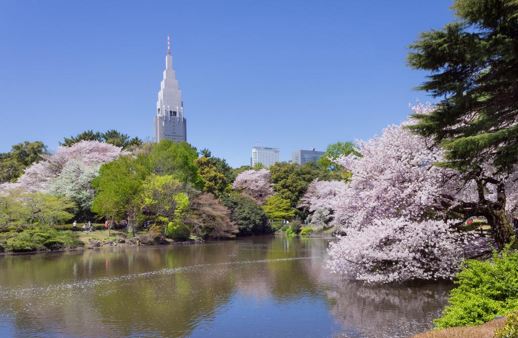 Sakura Cross Hotel Shinjuku East