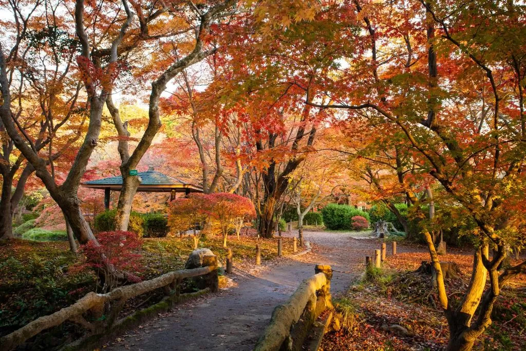 Shiki Resort Kyoto Kamogawaso