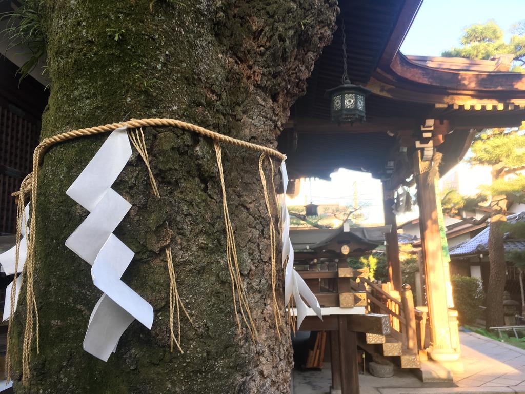 Kitano Hakubaicho Inn