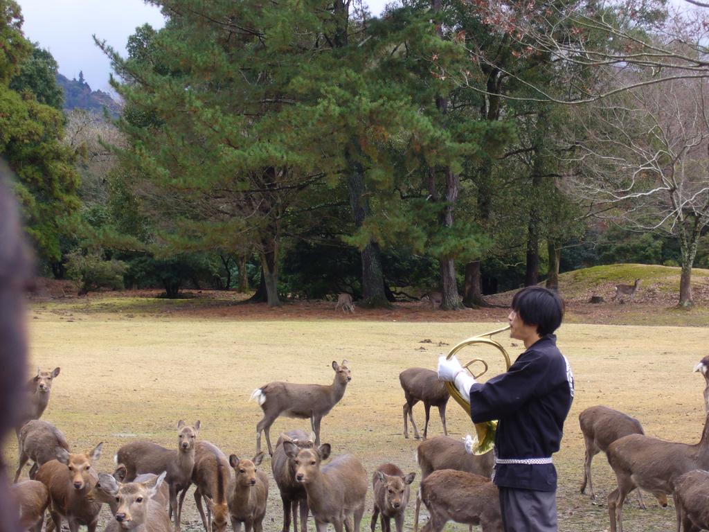 Kotonoyado Musashino